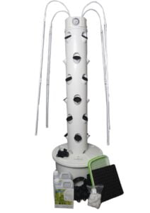 Common Mistakes to Avoid When Using a Hydroponic Tower Common Mistakes to Avoid When Using a Hydroponic Tower