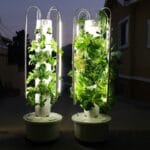 Top 7 Benefits of Owning an hydroponic tower for Your Home Garden WhatsApp Image 2024 10 08 at 09.52.00 36476e07