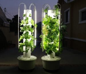 Top 7 Benefits of Owning an hydroponic tower for Your Home Garden