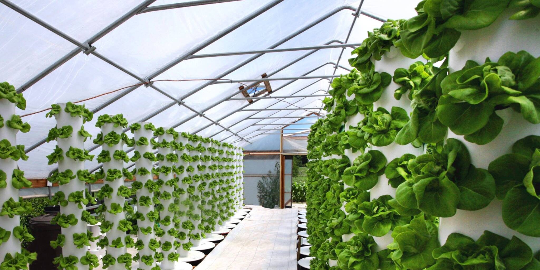 Commercial Hydroponic Tower Commercial Hydroponic Tower